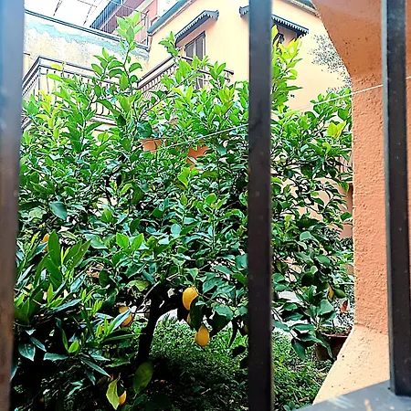Gardalemonhouse Apartamento Desenzano del Garda