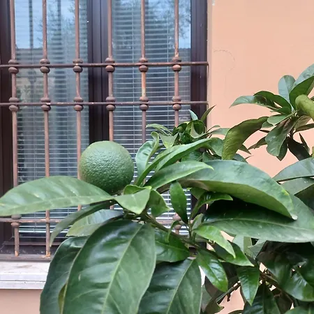 Gardalemonhouse * Desenzano del Garda